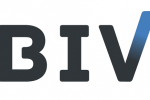 BIV – Программные решения