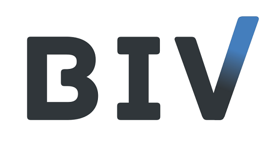 BIV-IT-company